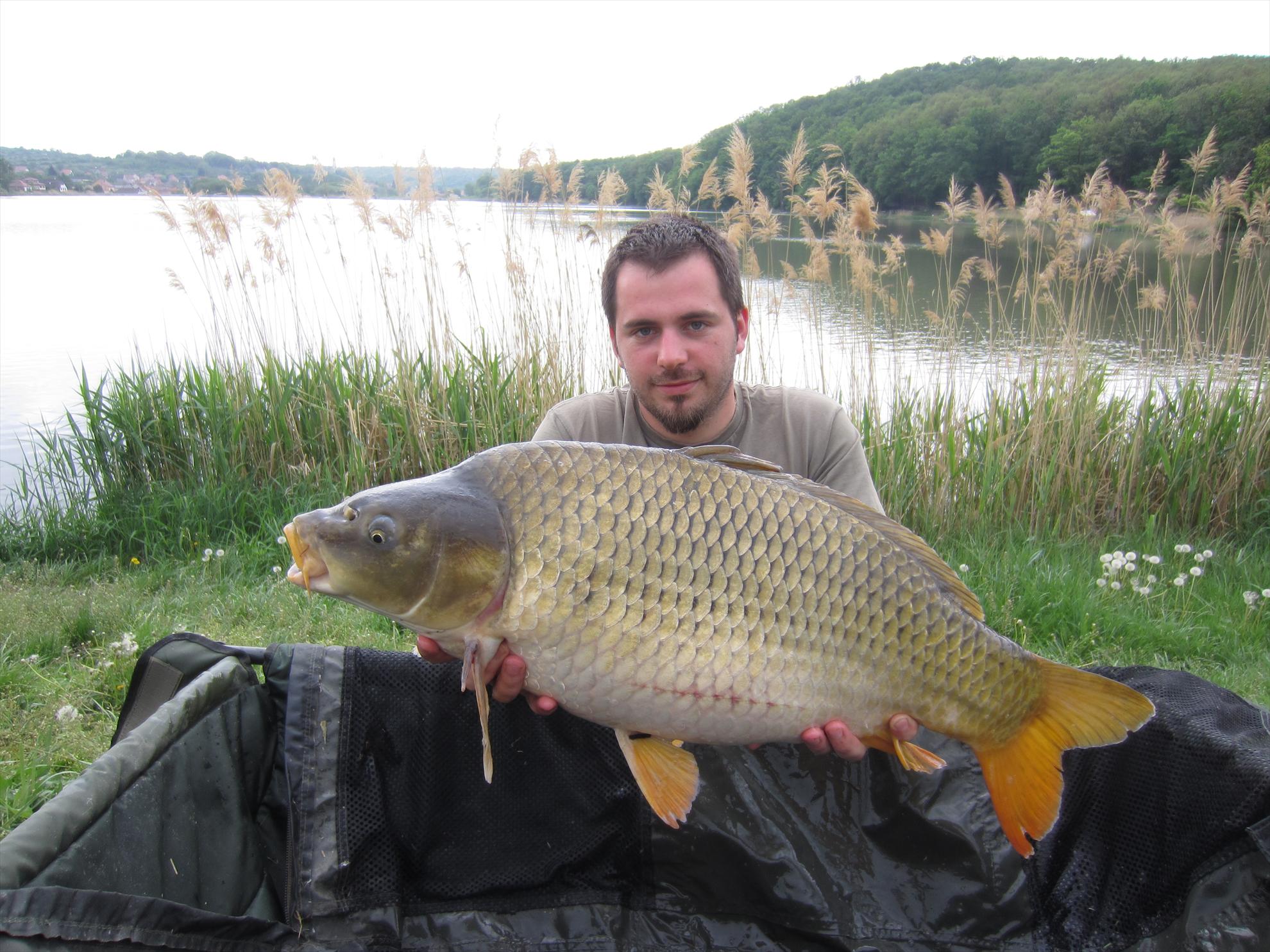 Harsany 1 - 5 mai. - img2593.JPG